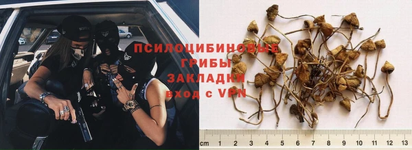 метамфетамин Дмитриев